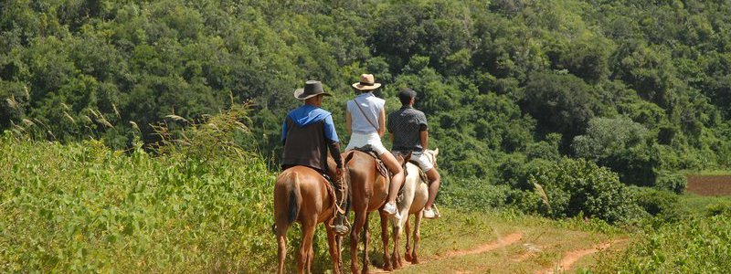 Excursión a caballo