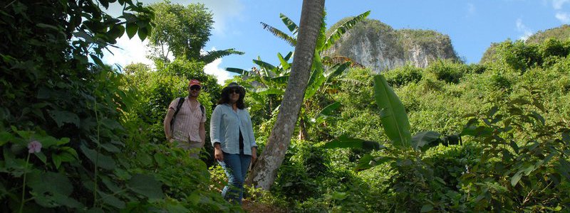 Tour Habana-Vinales 2 (PRIVATE)