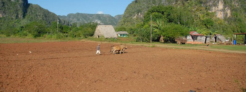 Excursion Havane-Vinales 1 (PRIVE)