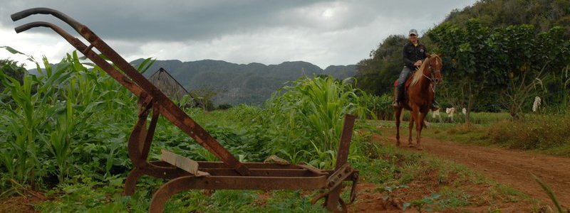 Tradición y Naturaleza