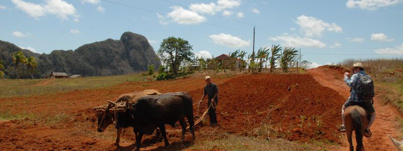 Interactive Tour  Havana-Vinales (PRIVATE)