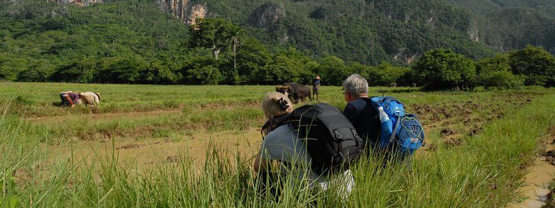 Visit to a Cuban farm