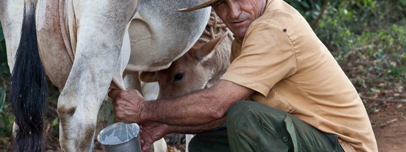 Tour Habana-Viñales 1 (PRIVATE)