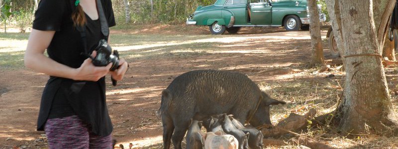 Discovery Viñales Tour