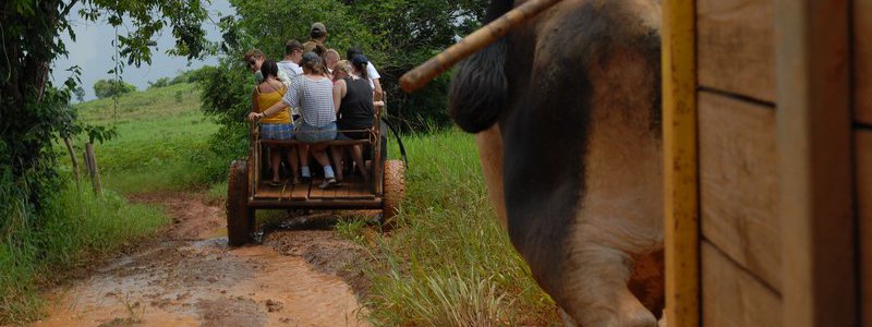 Excursion Havane-Pinar del Río-Viñales (PRIVÉ)