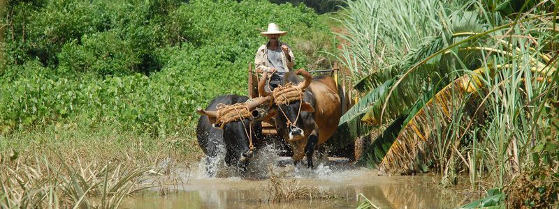 Tour Habana-Viñales 1 (PRIVATE)