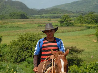 Horseback riding tour