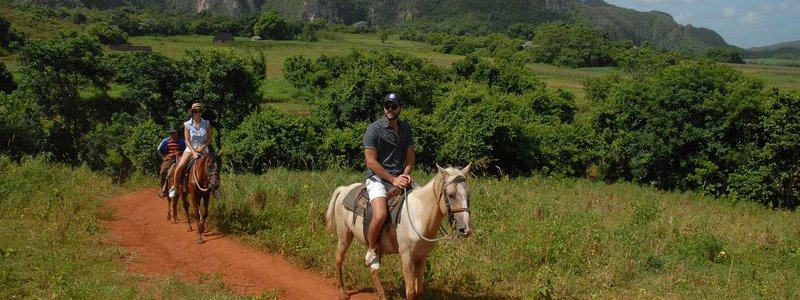 Horseback riding tour