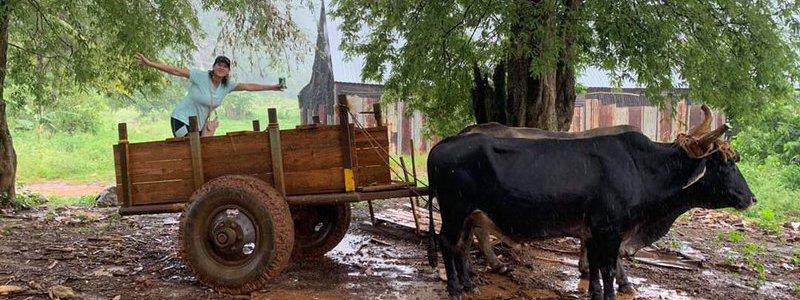 Tour Habana-Viñales 1 (PRIVATE)