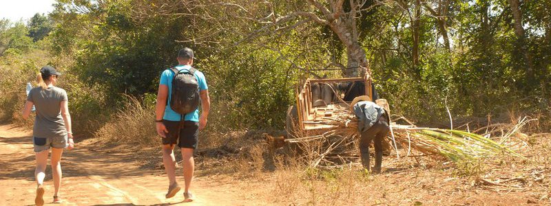 Excursión Habana-Vinales Interactivo (PRIVADA)