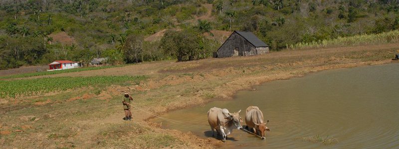 Havana-Vinales interactif (PRIVÉ)