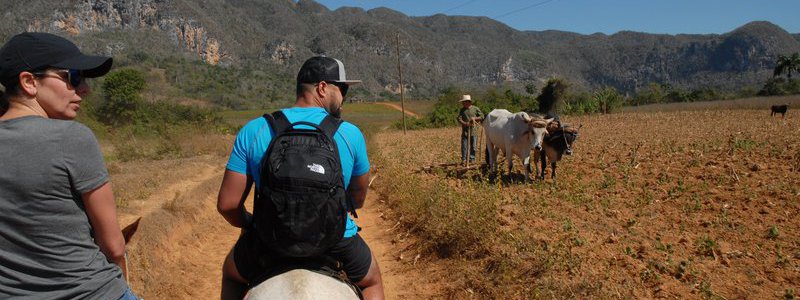 Excursion Havane-Viñales 2 (PRIVÉ)