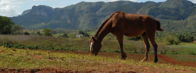 Excursión Panoramas