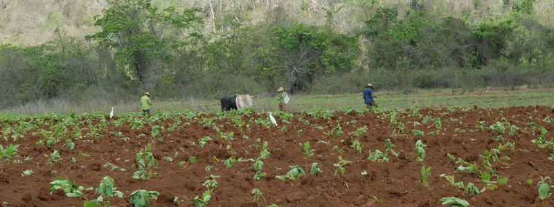 Discovery Viñales