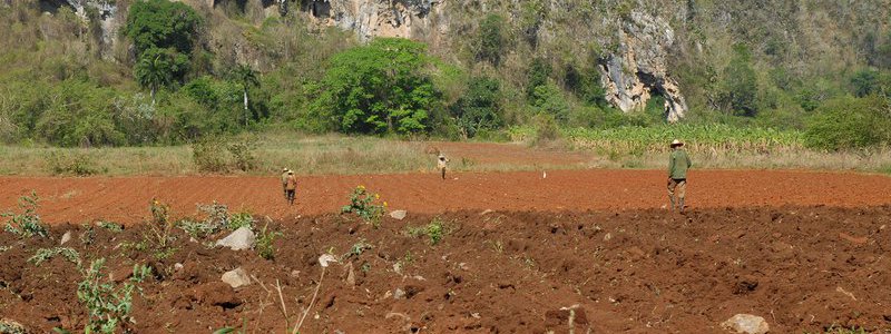 Excursion Havane-Pinar del Río-Viñales (PRIVÉ)