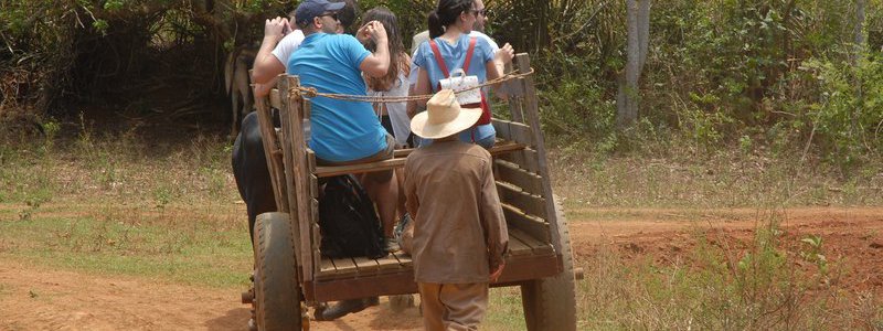 Découvrir Viñales (séjour d’une nuit)