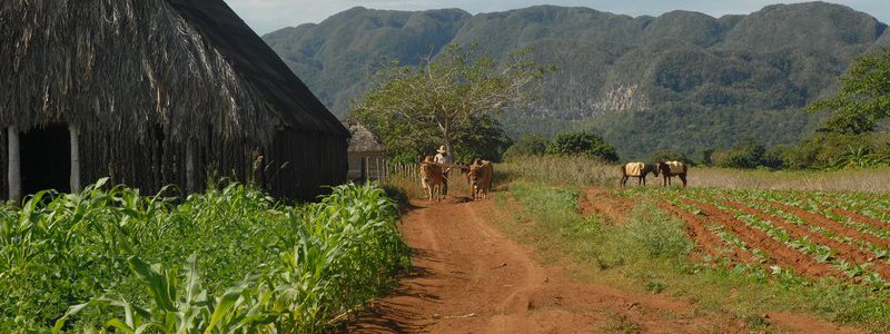 Tradición y Naturaleza