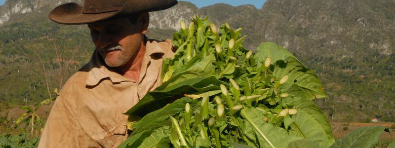 Discovery Viñales Tour