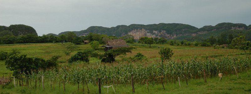 Tradición y Naturaleza