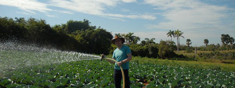 Visita a una finca cubana