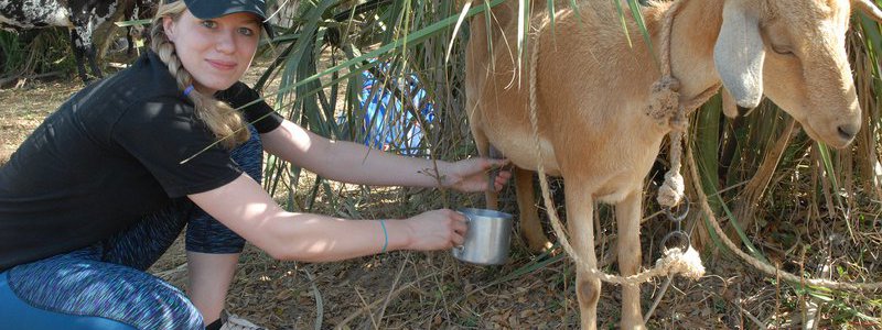 Visit to a Cuban farm