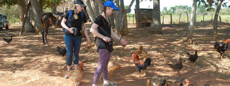 Visit to a Cuban farm