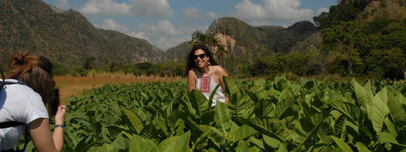 Discovery Viñales Tour