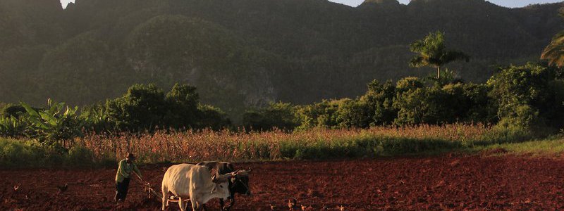 Tradición y Naturaleza