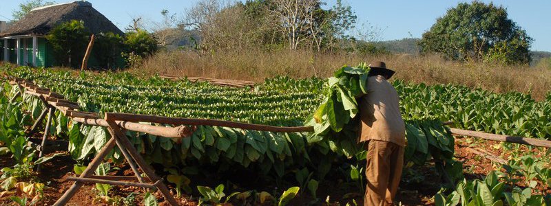 Interactive Tour  Havana-Vinales (PRIVATE)