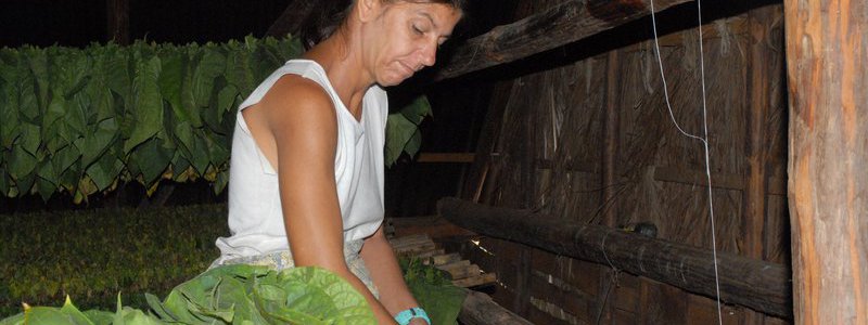 Por los secretos del tabaco