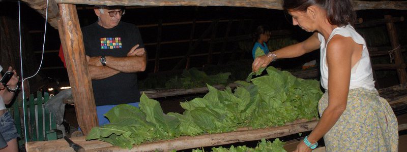 Visit to a Cuban farm