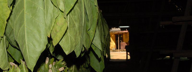 Excursión Overnight-Viñales (PRIVADA)