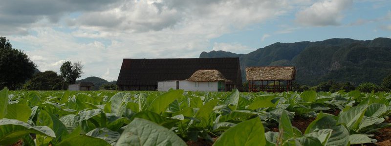 Excursion Havane-Vinales 1 (PRIVE)