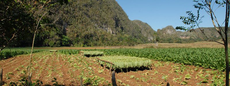 Excursion Havane-Vinales 1 (PRIVE)