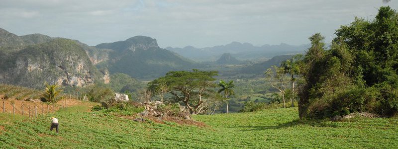 Tour Habana-Vinales 2 (PRIVATE)